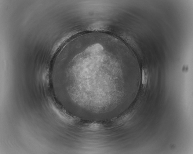 X0000114110204200910051521