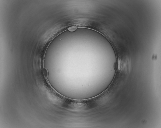 X0000114110205200910051521