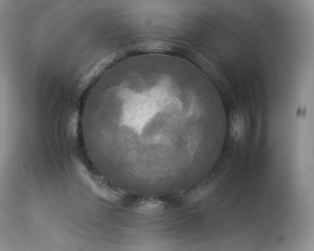 X0000114110206200910051521