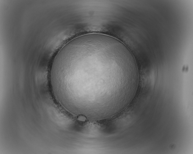 X0000114110207200910051521
