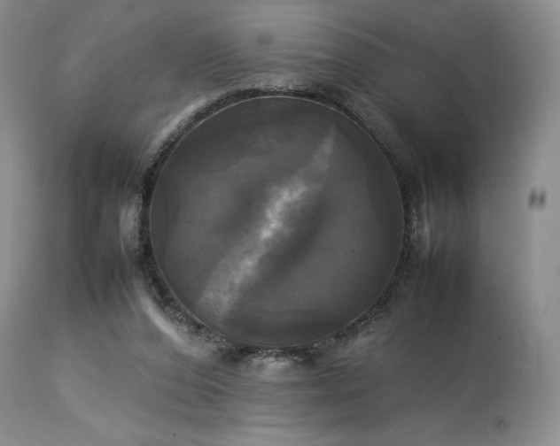 X0000114110208200910051521