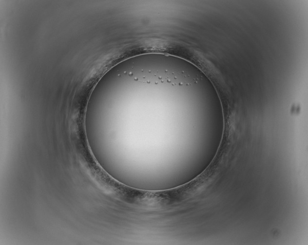 X0000114110209200910051521