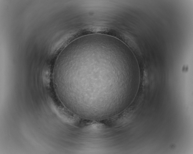 X0000114110210200910051521