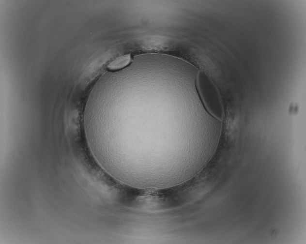 X0000114110211200910051521