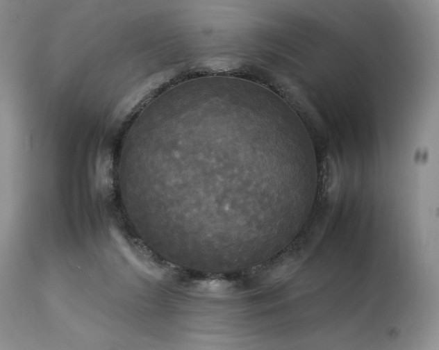 X0000114110212200910051521