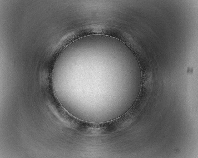 X0000114110213200910051521