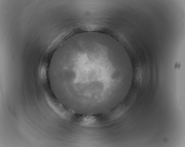 X0000114110214200910051521
