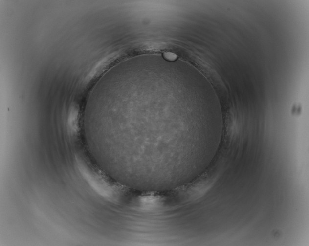 X0000114110216200910051521