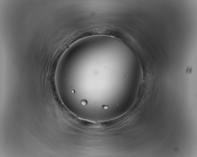 X0000114110217200910051521