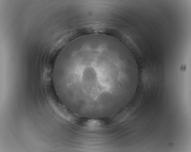 X0000114110218200910051521