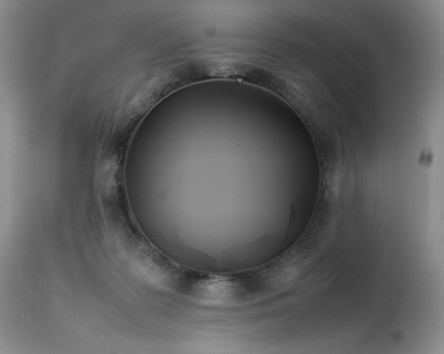 X0000114110219200910051521