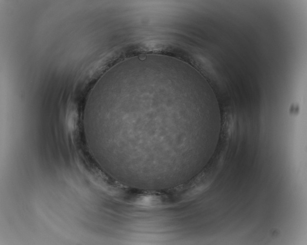 X0000114110220200910051521