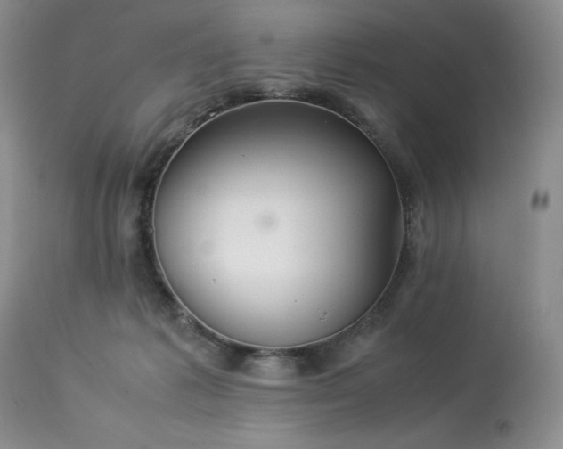 X0000114110221200910051521