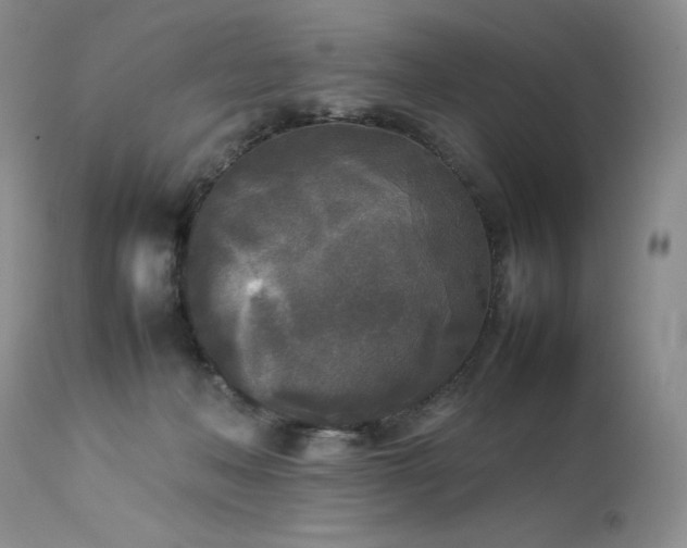 X0000114110222200910051521