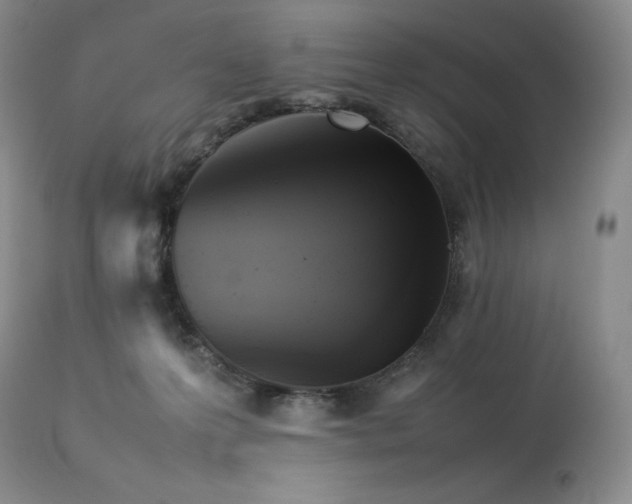 X0000114110223200910051521