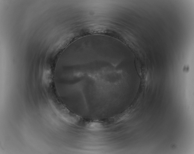 X0000114110224200910051521