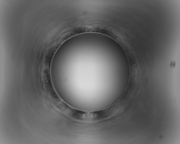 X0000114110225200910051521