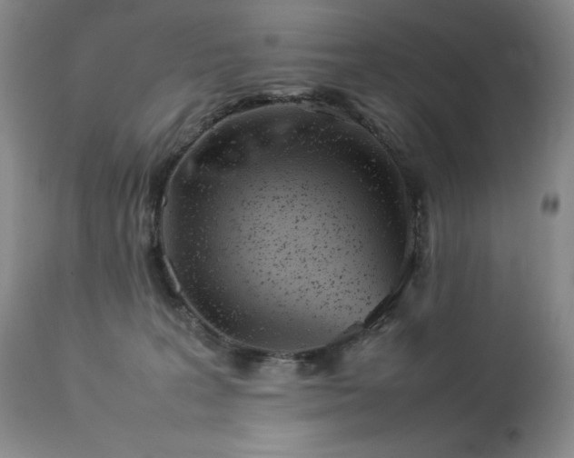 X0000114110227200910051521