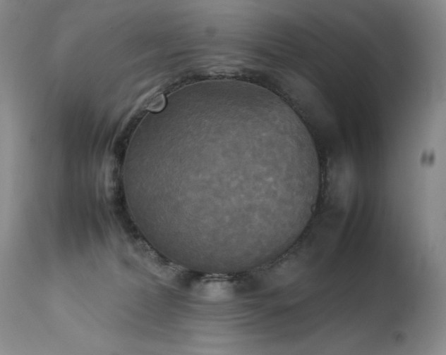 X0000114110228200910051521