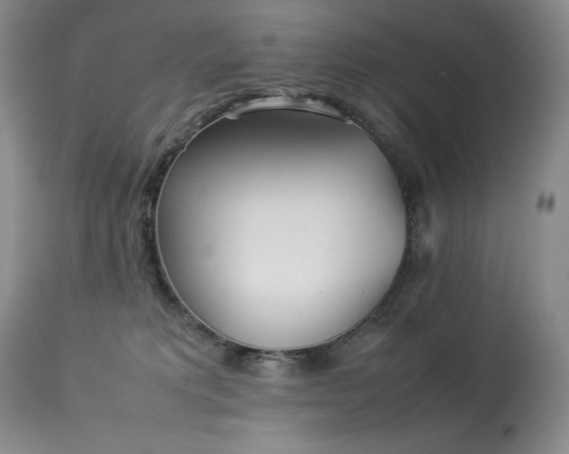 X0000114110229200910051521