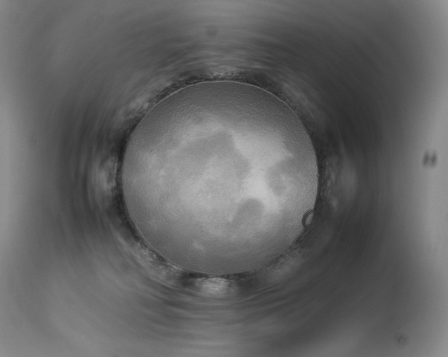 X0000114110230200910051521