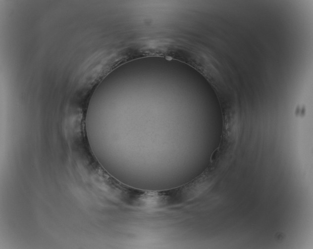 X0000114110231200910051521