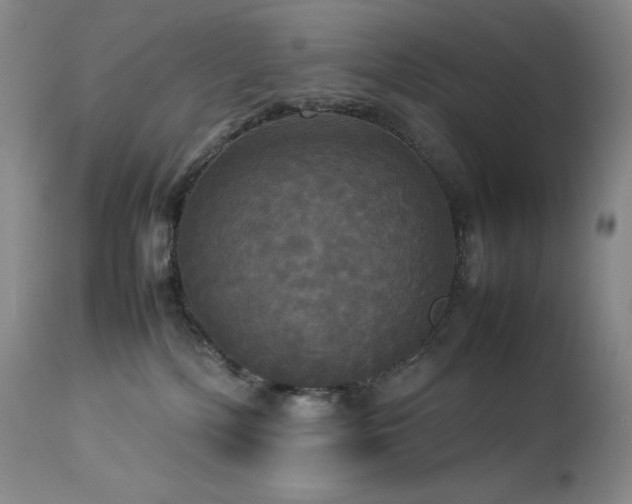 X0000114110232200910051521