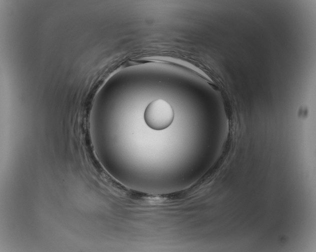 X0000114110233200910051521