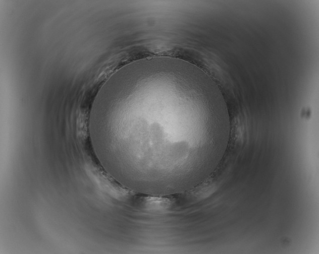 X0000114110234200910051521
