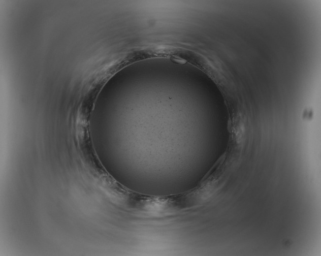 X0000114110235200910051521