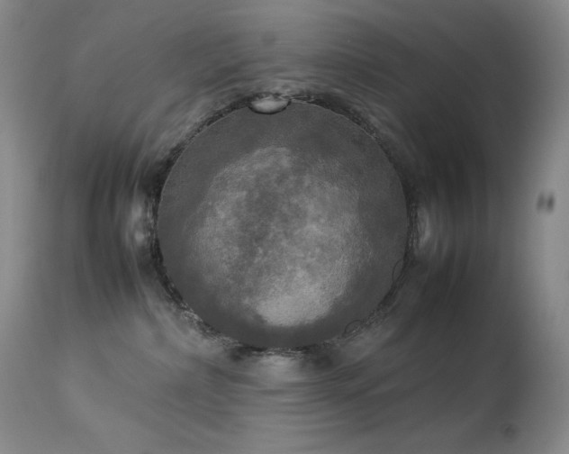 X0000114110236200910051521