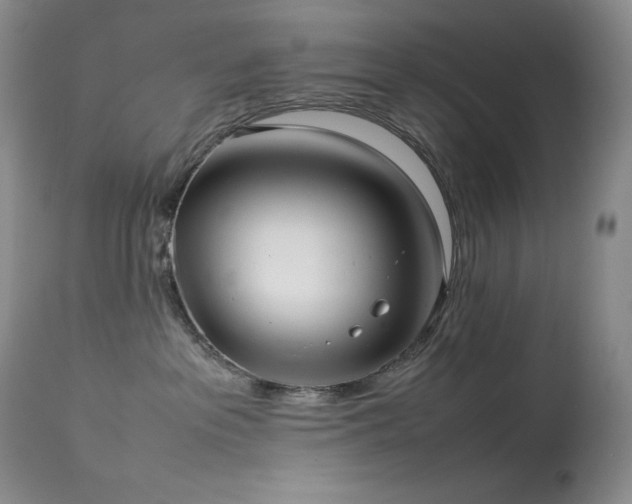 X0000114110237200910051521
