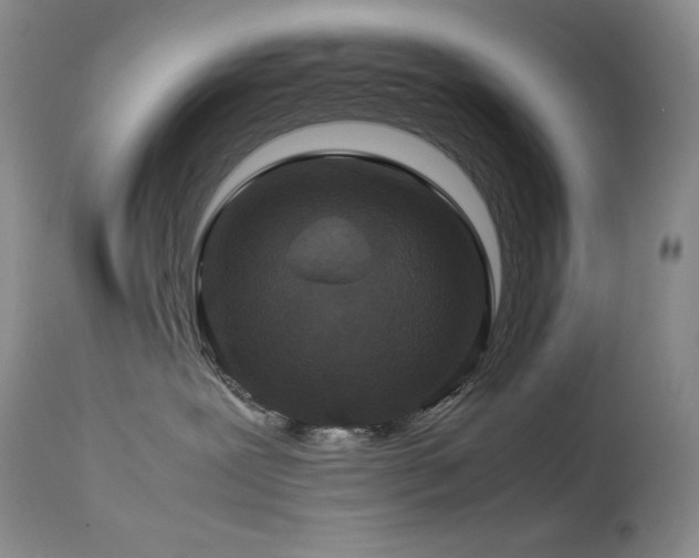 X0000114110239200910051521