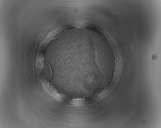 X0000114110240200910051521