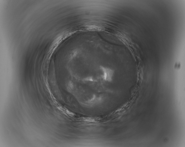 X0000114110241200910051520