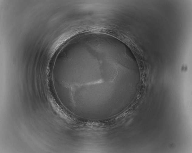 X0000114110242200910051520