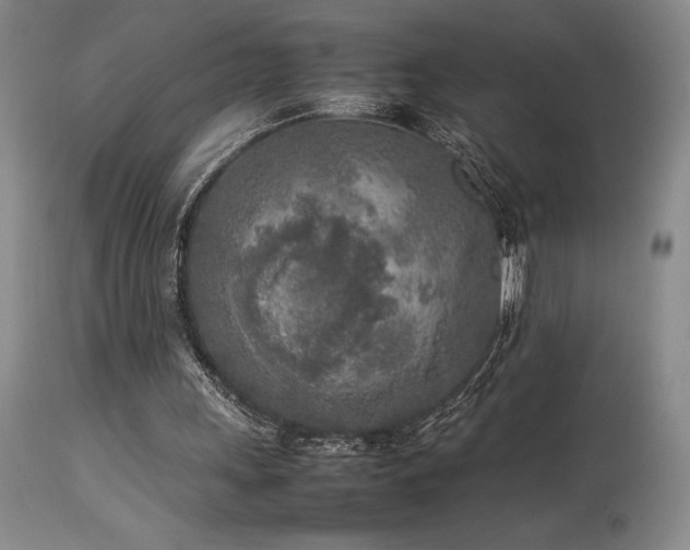 X0000114110243200910051520