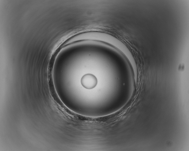 X0000114110244200910051520