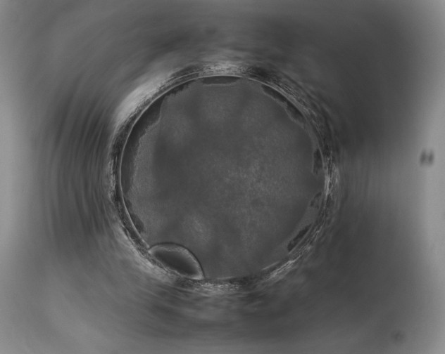 X0000114110245200910051520