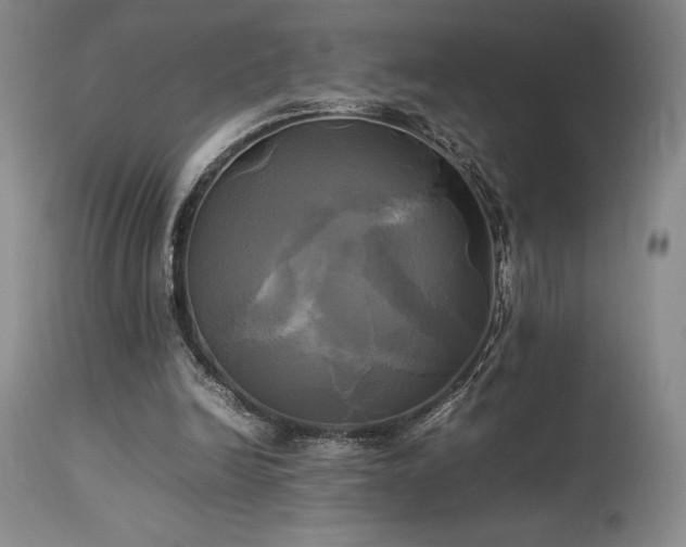 X0000114110246200910051520