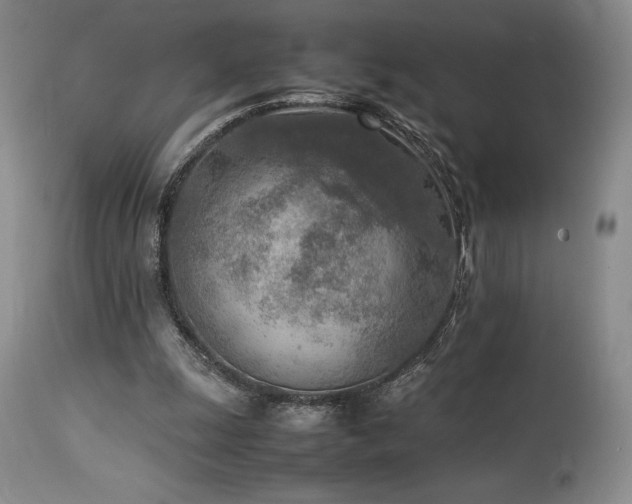 X0000114110247200910051520