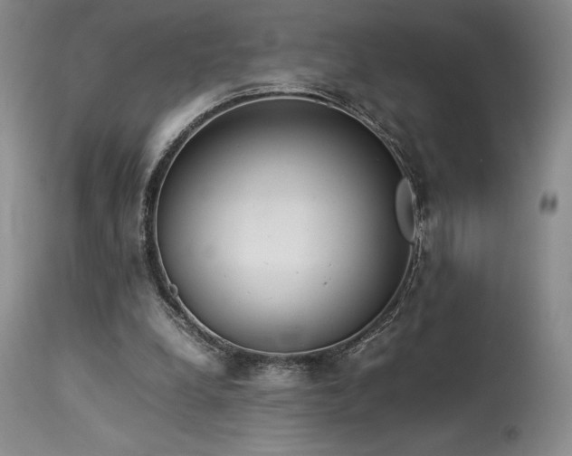 X0000114110248200910051520