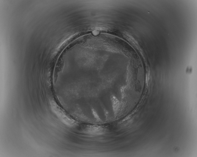 X0000114110249200910051520