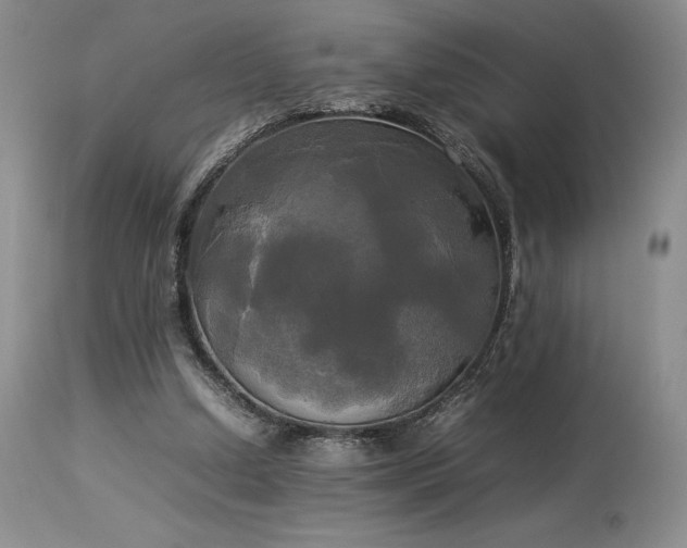X0000114110250200910051520