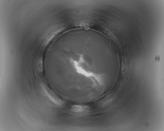 X0000114110251200910051520