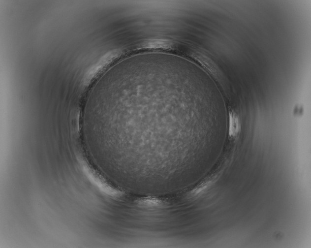 X0000114110253200910051520