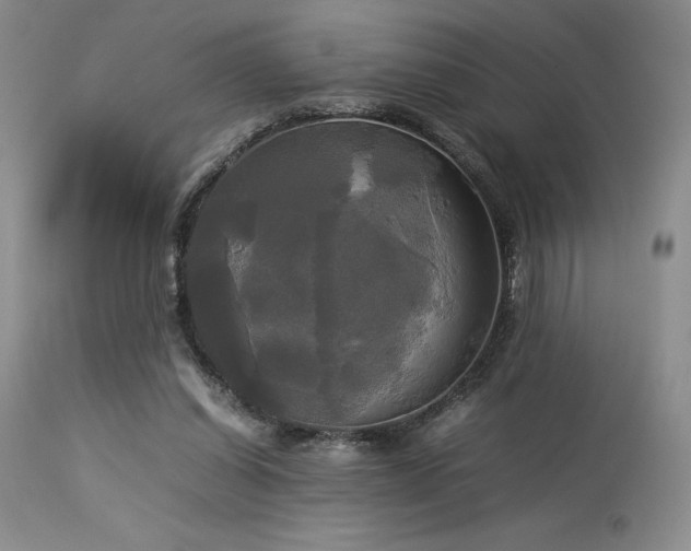 X0000114110254200910051520