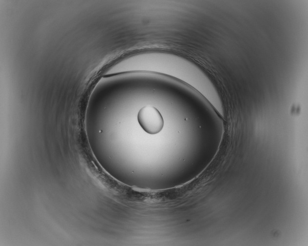 X0000114110256200910051520