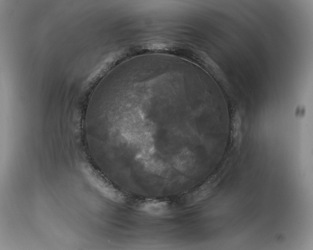 X0000114110257200910051520