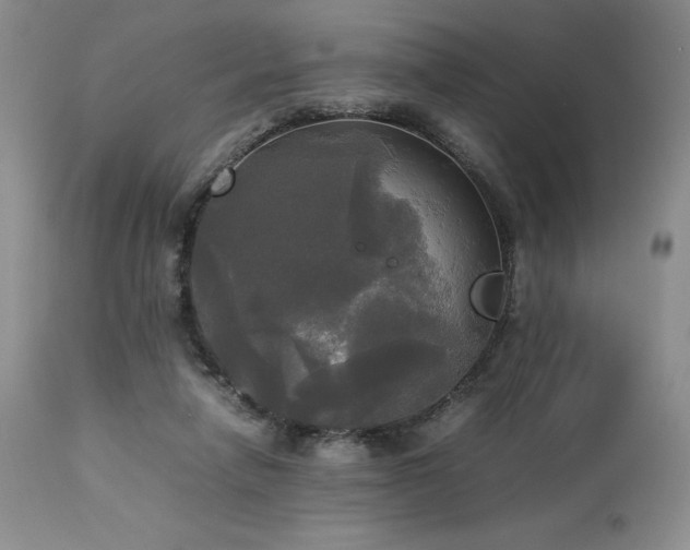 X0000114110258200910051520